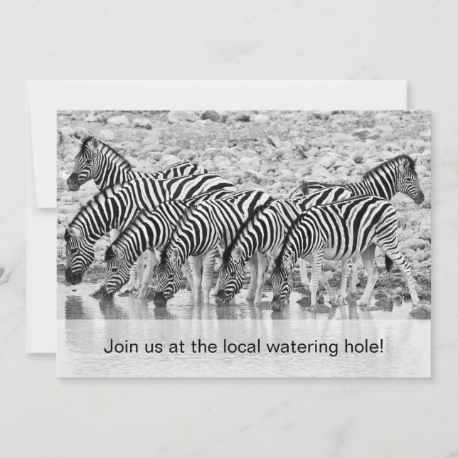 African Safari Zebra Funny Birthday Einladung (Vorderseite)