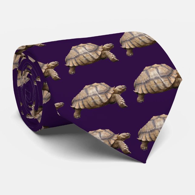 African spurred tortoise krawatte (Gerollt)