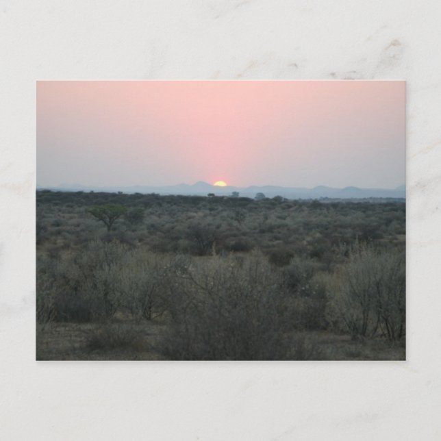 African Sunset Postcard Postkarte (Vorderseite)
