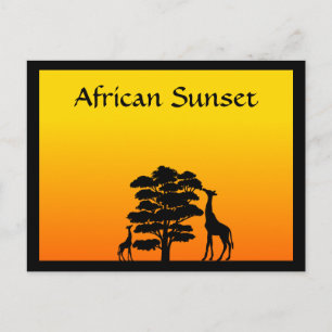African Sunset Postkarte