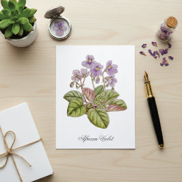 African Violet Curtis Botanical Postkarte