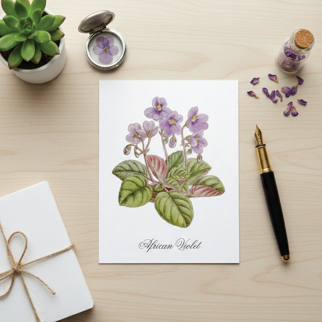 African Violet Curtis Botanical Postkarte (Von Creator hochgeladen)