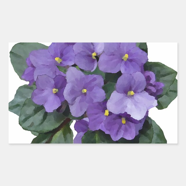 African Violet Lila Garden Blume Rechteckiger Aufkleber (Vorderseite)