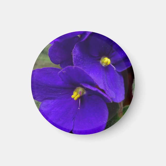 African Violet Magnet (Vorne)