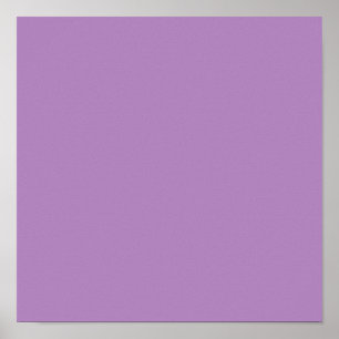 African violet  (solid color)  poster