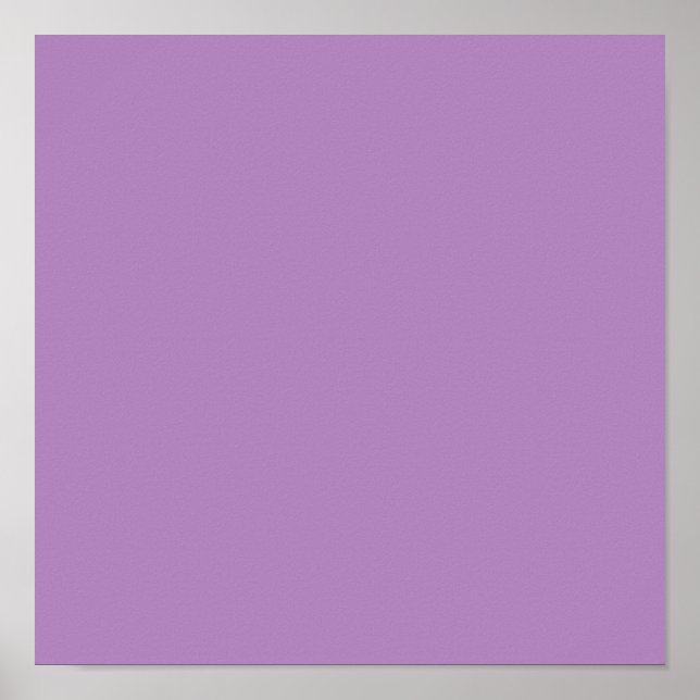 African violet  (solid color)  poster (Vorne)