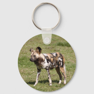 african-wild-dog-016 schlüsselanhänger