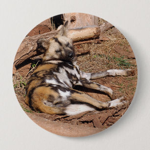 african-wild-dog-018 button
