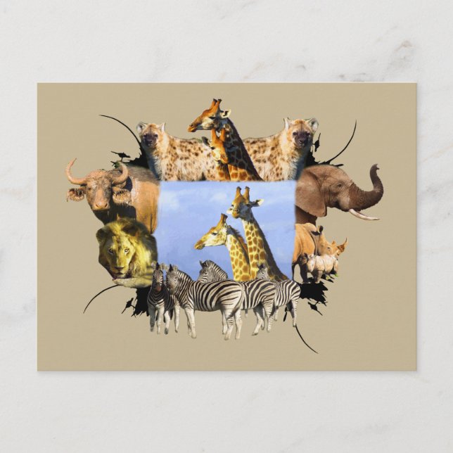 African Wildlife Frame Giraffe Lookout Postkarte (Vorderseite)