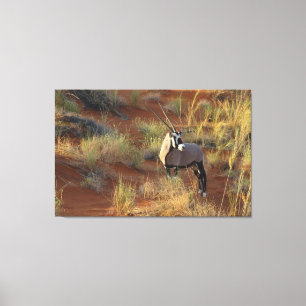African Wildlife Oryx Antelope Sand Dune Savannah Leinwanddruck