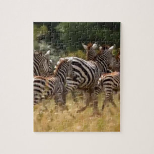 African Zebra cooles Zeug Hakuna Matata Geschenke