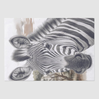 African Zebra Pencil Sketch Seidenpapier