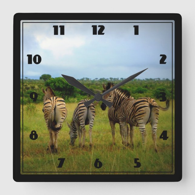 African Zebras in a Natural Setting Quadratische Wanduhr (Vorderseite)