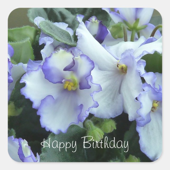 Africann Violet Happy Birthday Aufkleber (Vorderseite)