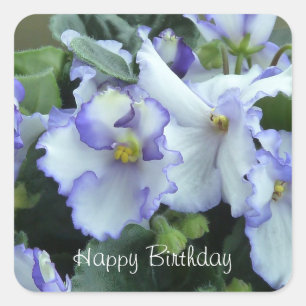 Africann violette alles Gute zum Quadratischer Aufkleber
