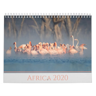 Afrika 2020 Wildtiere Kalender