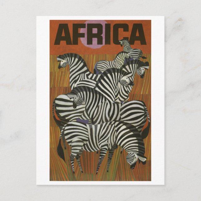 Afrika, afrikanische Zebra, Savannah, Jahrtausendr Postkarte (Vorderseite)
