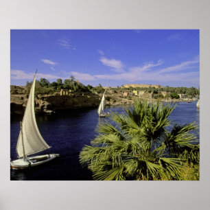 Afrika, Ägypten, Oberägypten, Assuan. Feluccas 2 Poster