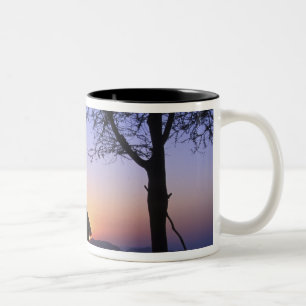 Afrika, Äthiopien, Omo-Fluss-Region, Sonnenunterga Zweifarbige Tasse