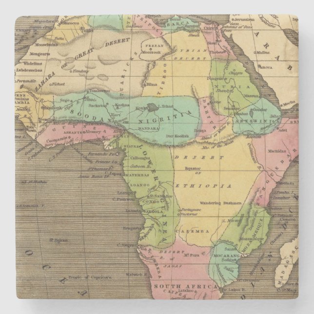 Afrika, atlantisch steinuntersetzer (Vorderseite)