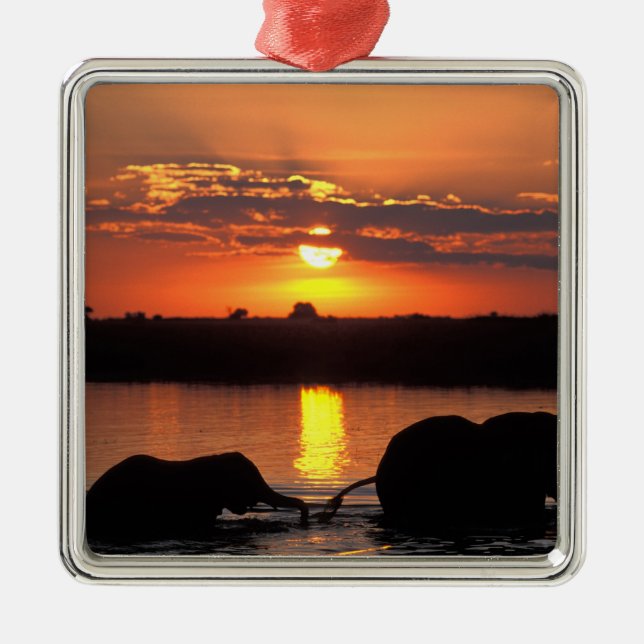 Afrika, Botsuana, Chobe National Park, Herde Ornament Aus Metall (Vorne)