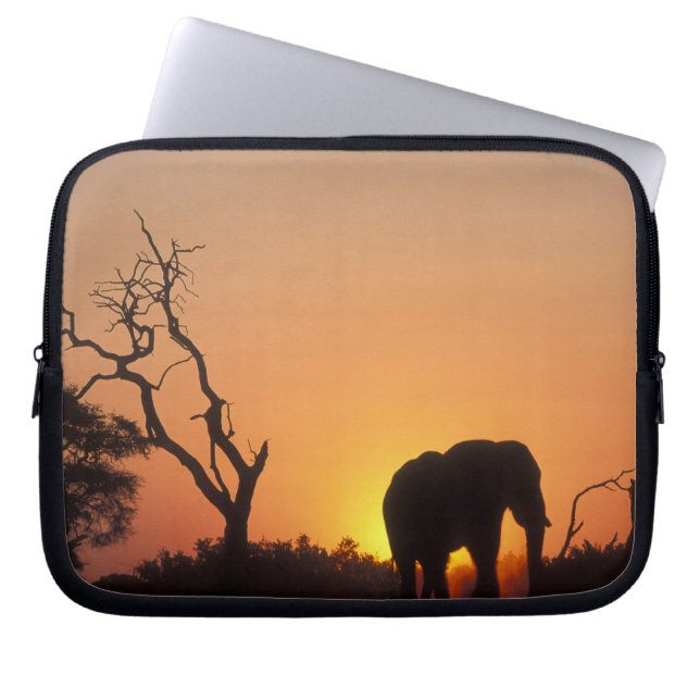 Afrika, Botsuana, Chobe National Park, Setting Laptopschutzhülle (Vorderseite)
