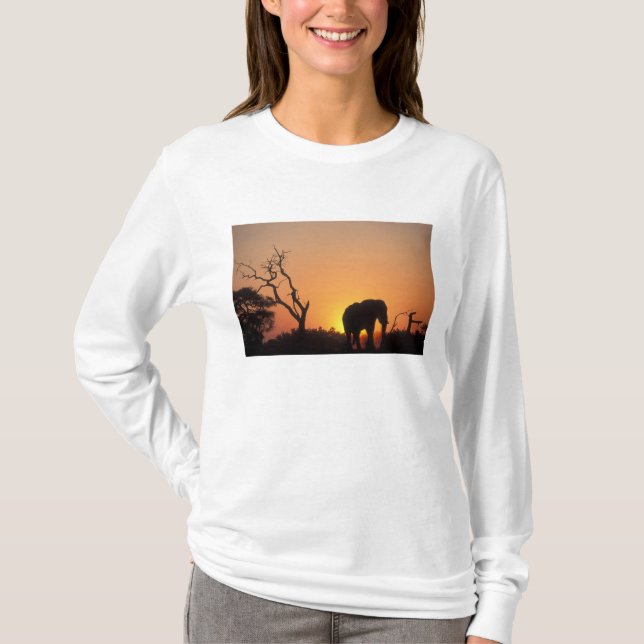 Afrika, Botsuana, Chobe National Park, Setting T-Shirt (Vorderseite)
