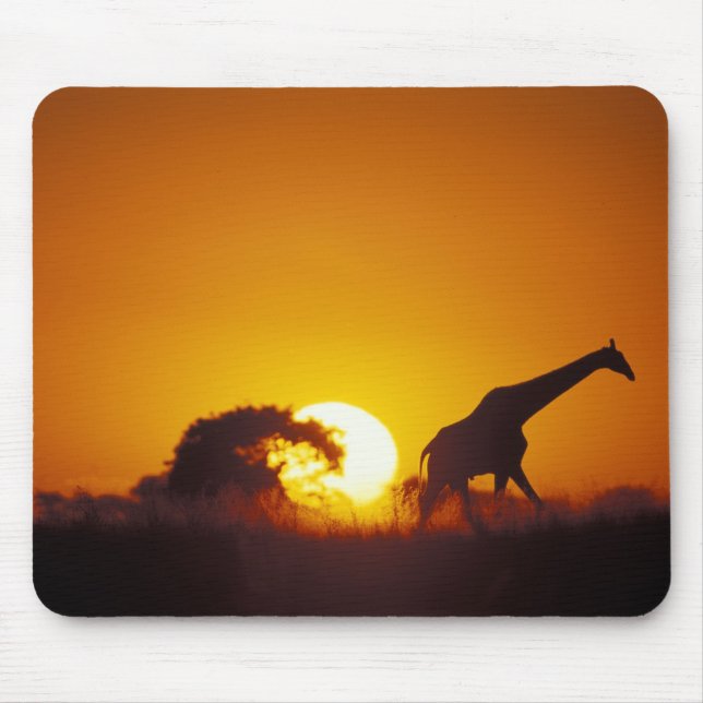Afrika, Botsuana, Chobe-Nationalpark, Giraffe 2 Mousepad (Vorne)