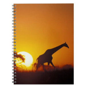 Afrika, Botsuana, Chobe-Nationalpark, Giraffe 2 Notizblock