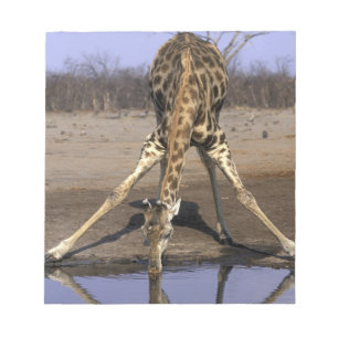 Afrika, Botsuana, Chobe-Nationalpark, Giraffe Notizblock