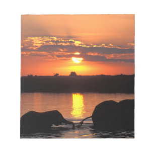Afrika, Botsuana, Chobe-Nationalpark, Herde Notizblock