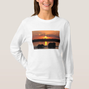 Afrika, Botsuana, Chobe-Nationalpark, Herde T-Shirt