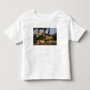 Afrika, Botsuana, Chobe-Nationalpark, Löwinnen Kleinkind T-shirt