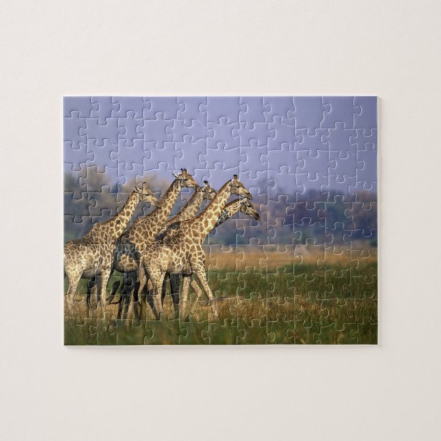Afrika, Botsuana, Moremi-Wildreservat (Horizontal)
