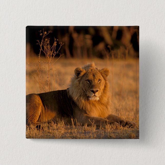 Afrika, Botsuana, Okavango-Delta Button (Vorderseite)