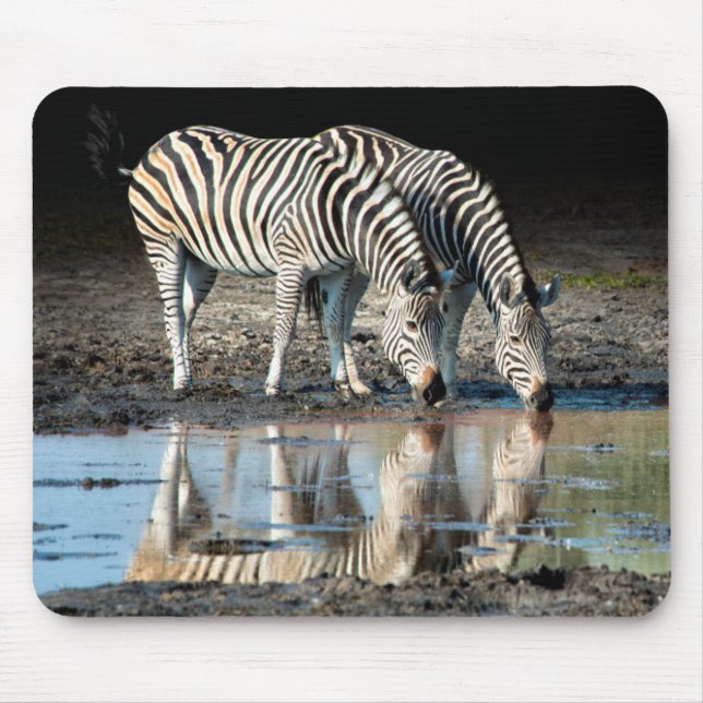 Afrika, Botsuana, Okavango-Delta, Davison-Lager Mousepad (Vorne)