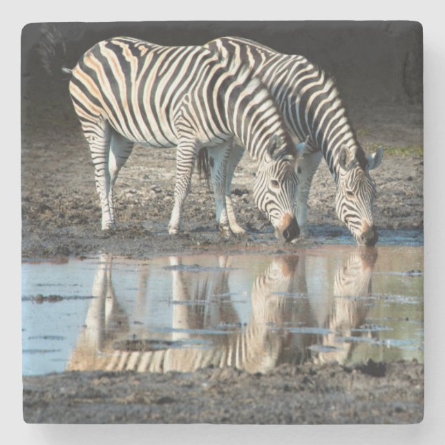Afrika, Botsuana, Okavango-Delta, Davison-Lager Steinuntersetzer (Vorderseite)