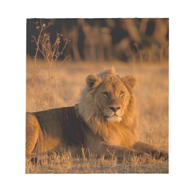 Afrika, Botsuana, Okavango-Delta Notizblock (Vorderseite)