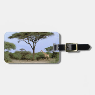 Afrika, Botsuana, Okavango-Delta. Südlich Gepäckanhänger