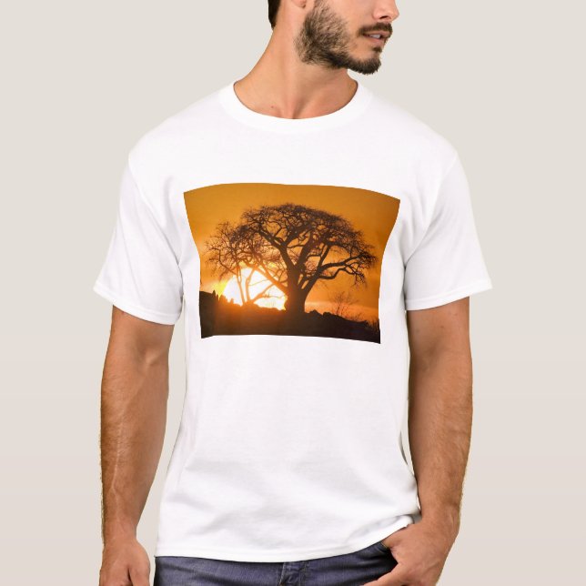 Afrika, Botsuana, Sonnenuntergang Silhouetten Baob T-Shirt (Vorderseite)