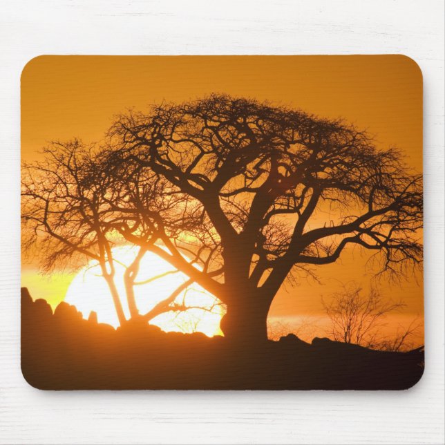 Afrika, Botsuana, Untergehende Sonne silhouettiert Mousepad (Vorne)