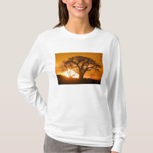 Afrika, Botsuana, Untergehende Sonne silhouettiert T-Shirt