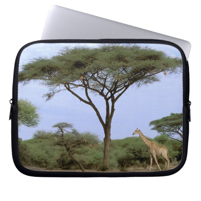Afrika, Botswana, das Okavango-Delta. südlich Laptopschutzhülle (Vorderseite)