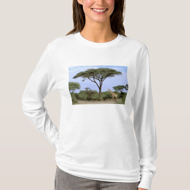 Afrika, Botswana, das Okavango-Delta. südlich T-Shirt (Vorderseite)