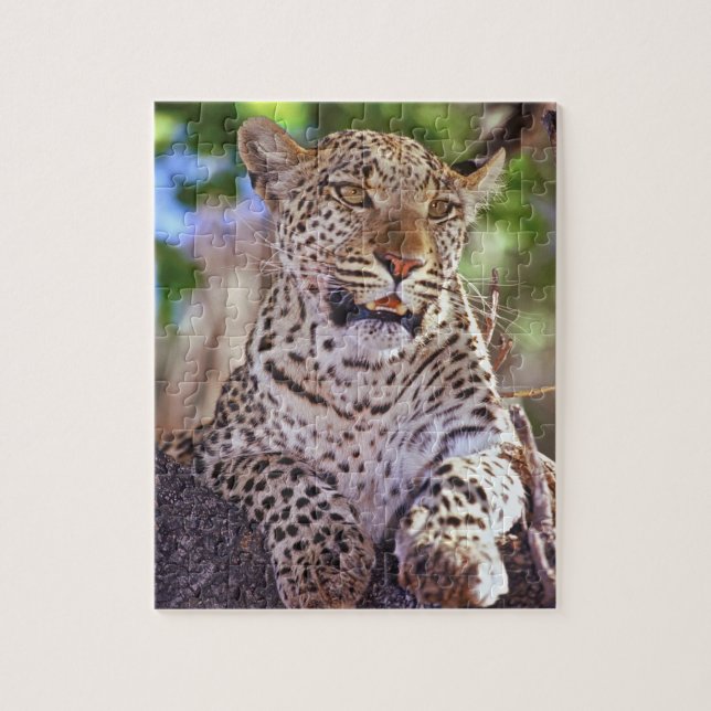 Afrika, Botswana, das Okvango-Delta, Wildleopard.  (Vertikal)