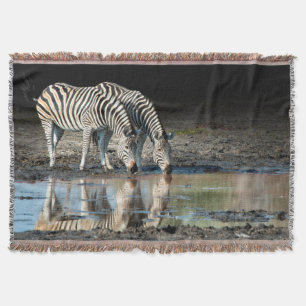 Afrika,Botswana, Okavango-Delta, Davison Camp Decke