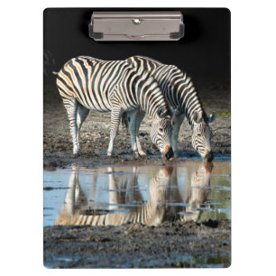 Afrika,Botswana, Okavango-Delta, Davison Camp Klemmbrett