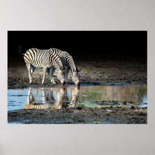 Afrika,Botswana, Okavango-Delta, Davison Camp Poster