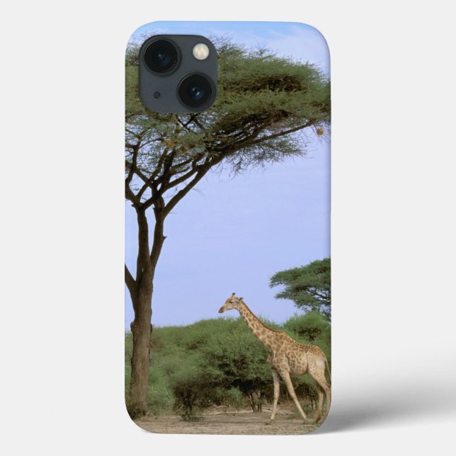 Afrika, Botswana, Okavango Dreieck. Südlich Case-Mate iPhone Hülle (Rückseite)
