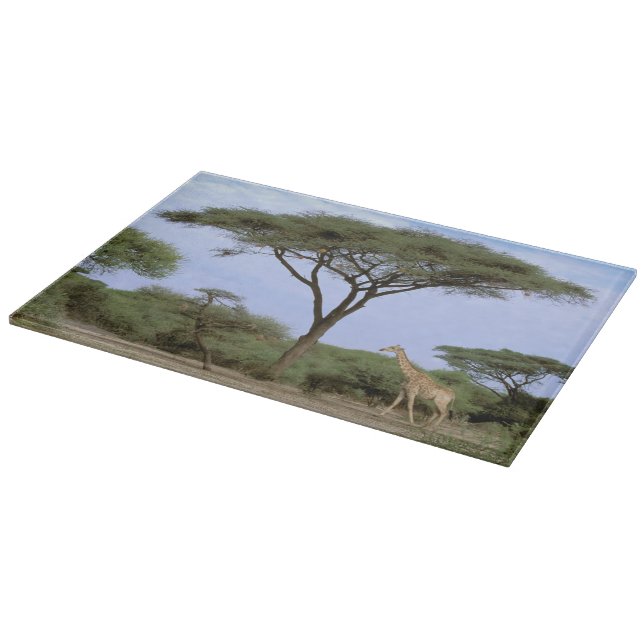 Afrika, Botswana, Okavango Dreieck. Südlich Schneidebrett (Ecke)